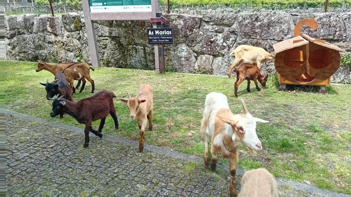 Chalet Do Soajo Аркос де Валдевез Екстериор снимка